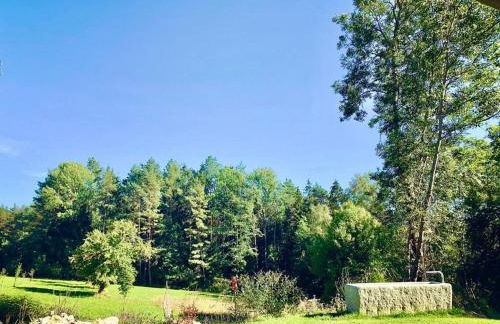 Chalet Dürrfeld ***** - Foto 2