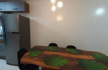 Apê a 250 metros da praia do Perequê açu em Ubatuba - Foto 11