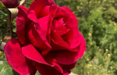 Molino Felix Alojamiento Rurales - Foto 42