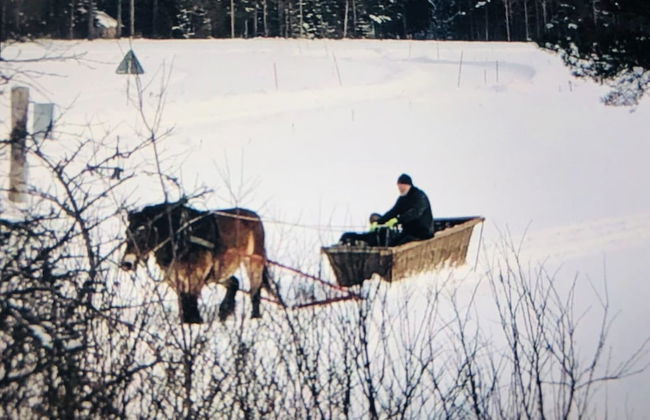 Captivating 1-bed Studio - Foto 17