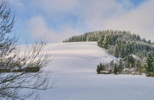 Alte Muehle - Foto 23