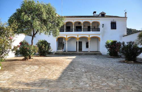 La Matilla - Foto 17