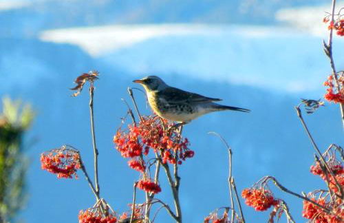 Laerchhof - Photo 49