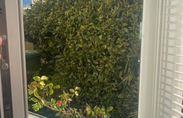 The garden flat - Photo 19