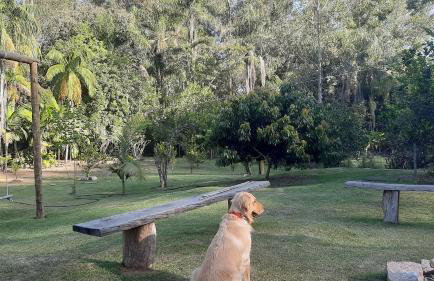 Recanto dos Passaros - Foto 44