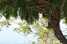 Pomegranate Seaside Corner - Foto 23