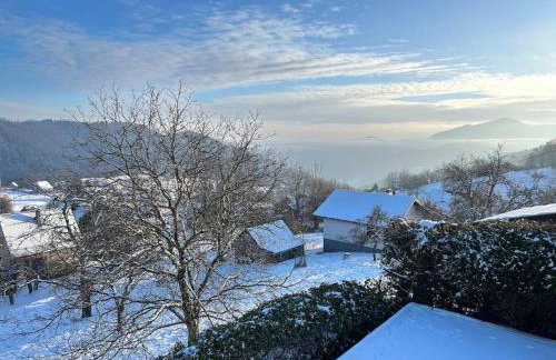 La Fermette des Vallons - Jacuzzi - Billard - Foto 36
