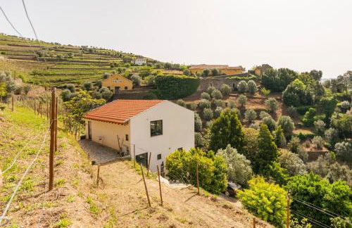 DouroParadise - Foto 45