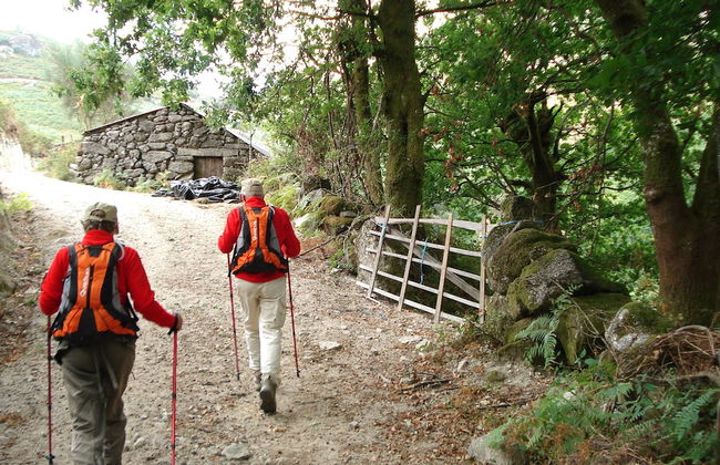 Self Catering Quinta Lamosa - Responsible Tourism for 2 People - Foto 71