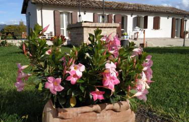 AGRITURISMO " LE SERRE" - Foto 21