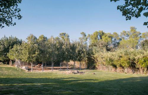 Espai Valldevia - Foto 25