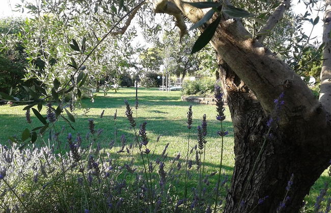 Fattoria Belvedere - Photo 29