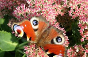 Home & Gardens 2-bed Villa in Sevasti, Katerini - Photo 28