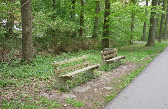 Family Home With Garden - Photo 40