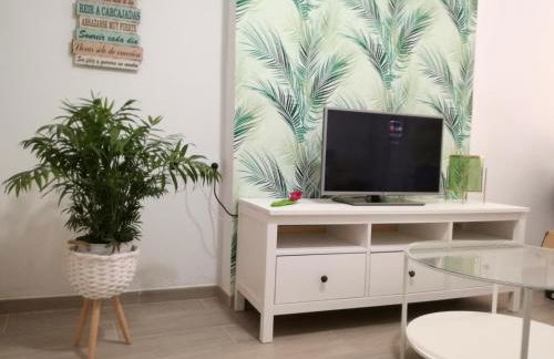 Apartamento la palmera - Foto 15