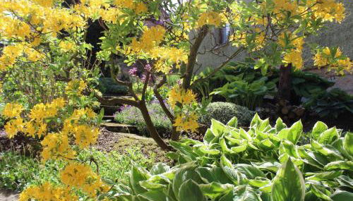 Appartement`s - HAUS KAROLA - Photo 5, Garden