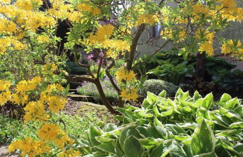 Appartement`s - HAUS KAROLA - Photo 5