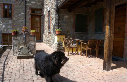 Agriturismo Il Pino - Foto 12