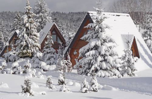 Holiday Home Tennenbronn-1 by Interhome - Foto 1