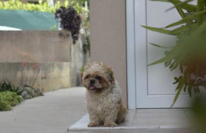 Apartment Bepo - Photo 1