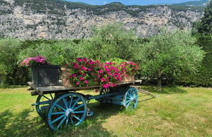 Agriturismo Vin e Amor - Photo 5