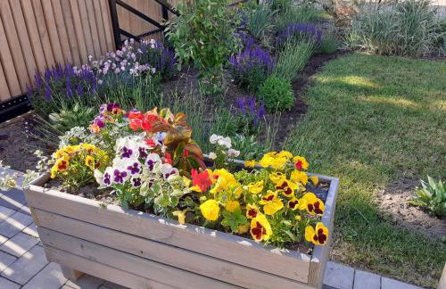 Przystanek Tykocin - domki gościnne w sercu Podlasia - Foto 44