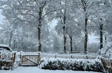 Oase am See l 2 SZ l Familien und Hundefreundlich l Sauna I E-Ladesäule - Foto 35
