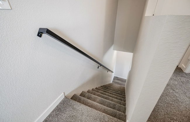 Rising Star - Photo 43