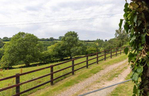 Welsh Marches at Upper Glyn Farm - Foto 8
