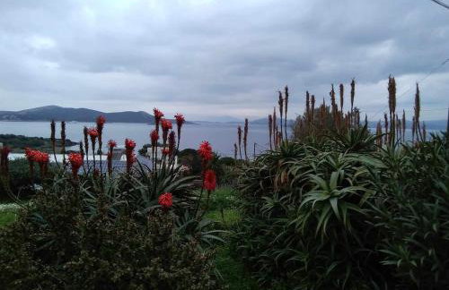 Evia Escape - Foto 27