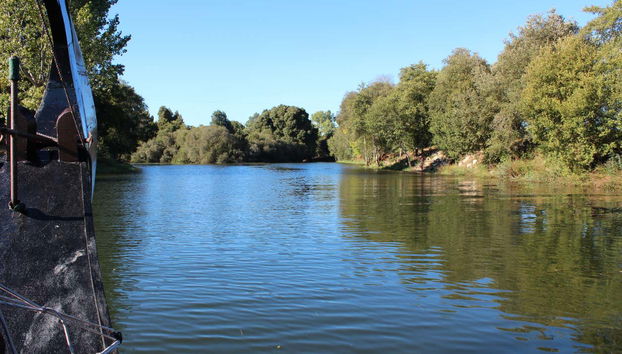 Minho River Boat Tour - Foto 5