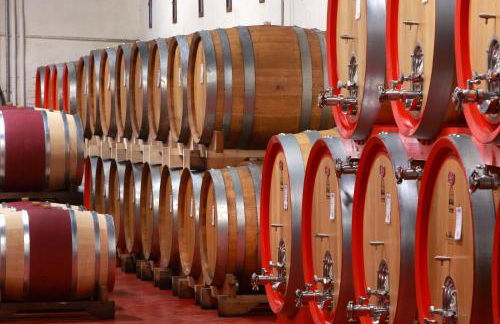 Castello di Roncade - Foto 19