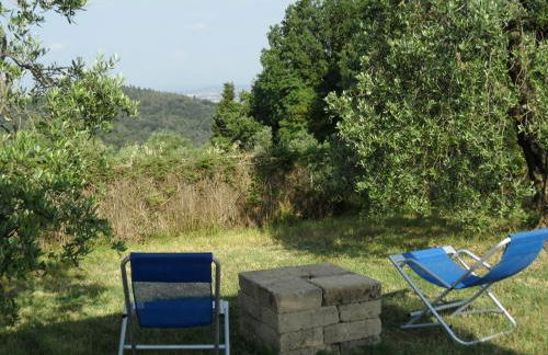 Podere San Pierino - Foto 15