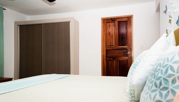 Holiday rental in Havana with swimming pool and garden - Foto 5