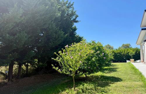 La Segreta - Foto 59