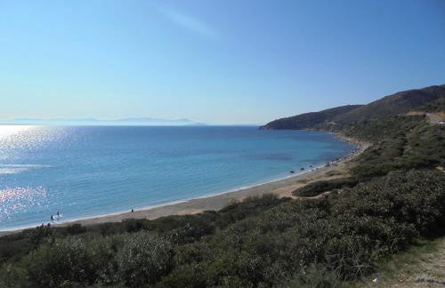 La Fattoria Delle Tartarughe - Foto 53