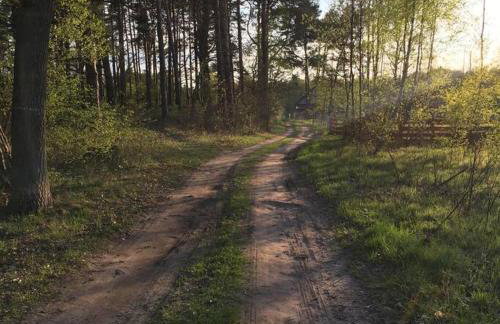 Komfortowy dom w lesie - Foto 24