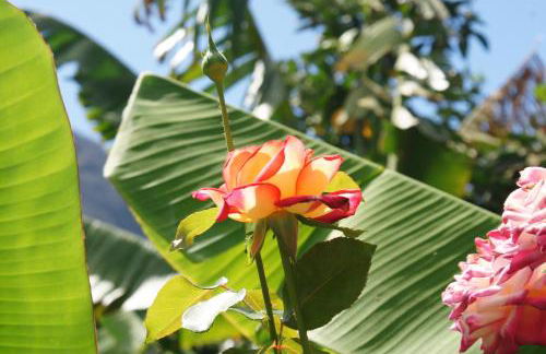 Apartamentos Nelly - Foto 26