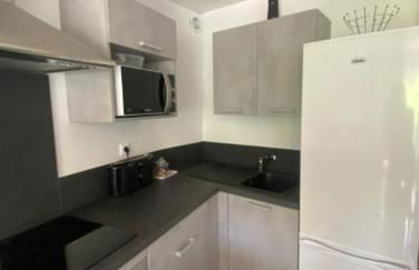 appartement T3 idéalement situé - Foto 3