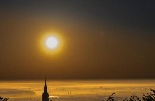 Le p'tit coin de chez nous - Foto 74