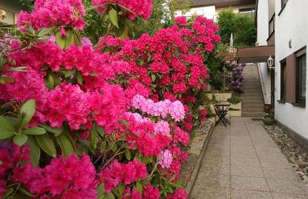 Apartments Gala, ruhige Lage, stadtnah - Foto 45