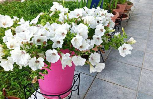 Sea view villa - Foto 25