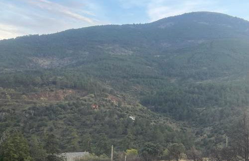 El Secreto del Arroyo - Photo 68