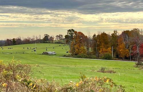 Litchfield Modern Farmhouse - Foto 11