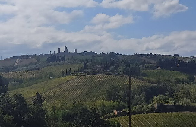 "Recorre las onduladas colinas de Chianti" con almuerzo y degustaciones de vino - Foto 23