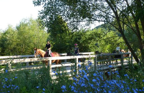 Ropuszy Dwór - Foto 22