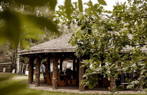 Maciejówka Borki 33 - Foto 18