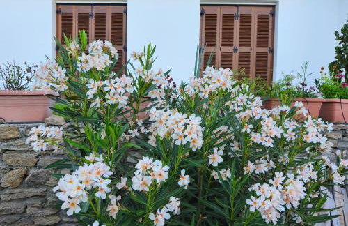 Sea view Goldins house - Foto 27