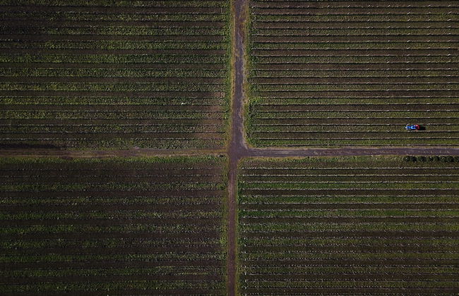 Villa Cavalletti - Foto 46