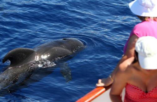 Casa las Dunas - Foto 48